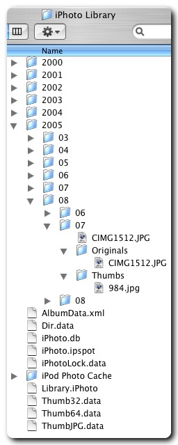 Inside the iPhoto Library folder. Icons and databases.
