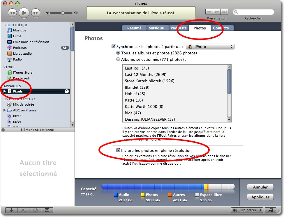 Screen Shot of the iTunes preference.